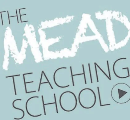 MEAD teaching school